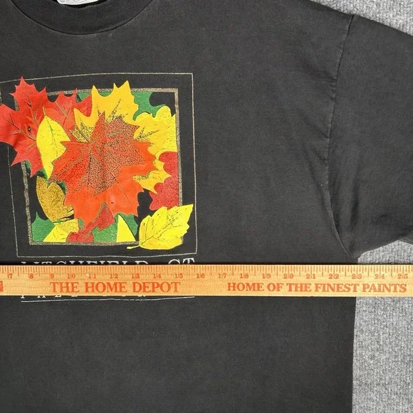 Vintage Litchfield Connecticut T‎ Shirt Size Xl Fall For It - Picture 8 of 9